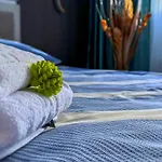 Tampa Mountain Nature Hideaway - Luxury Rentals