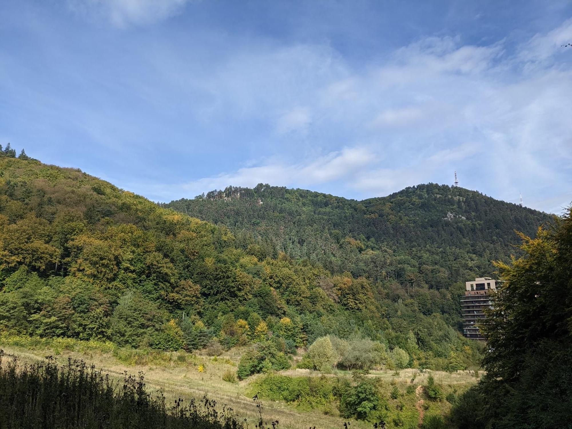 Tampa Mountain Nature Hideaway - Luxury * Brașov